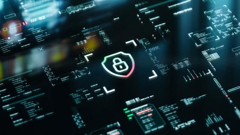 王益区软件开发公司